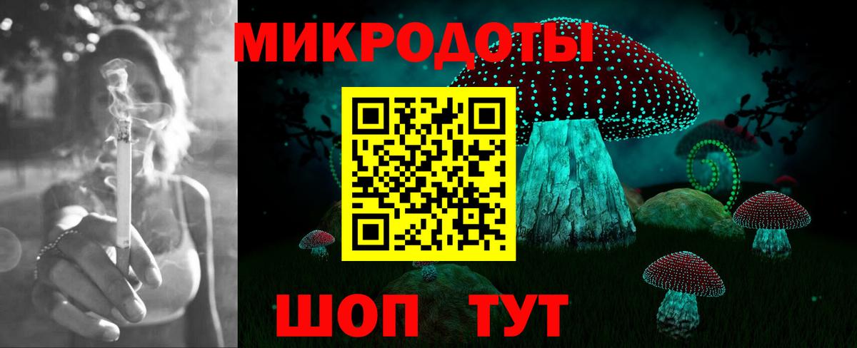 Галлюциногенные грибы Psilocybine cubensis Кимры